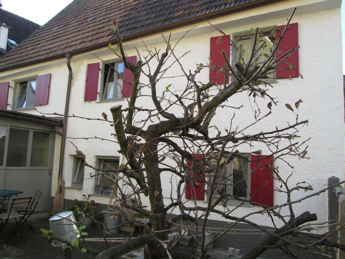 Villa Omas Schmuckkaestle Lauingen Exterior foto